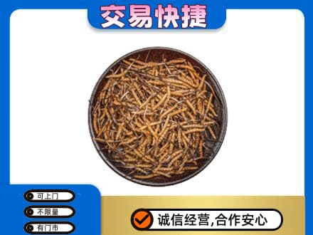 巴音郭楞回收散虫草